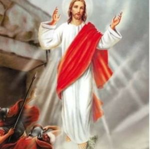 Meet your Posher, Rose